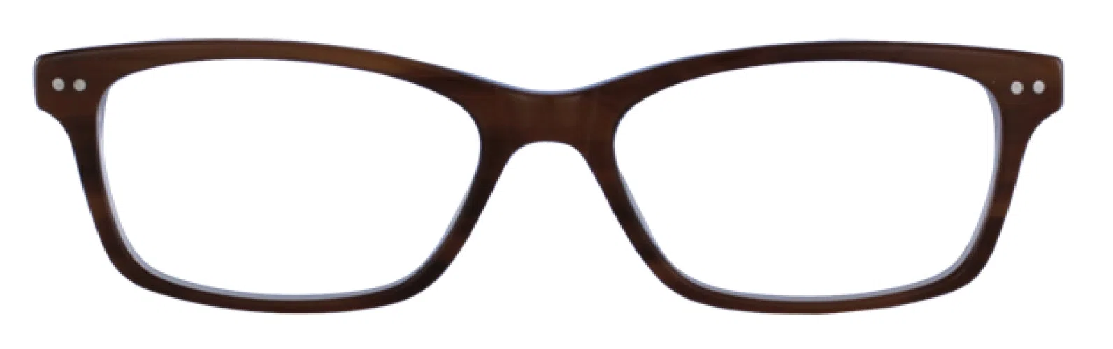 Via Spiga VSIlaria Eyeglasses - Brown - view 4